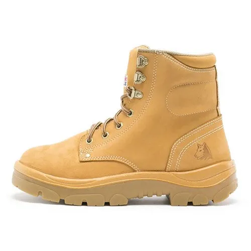 ARGYLE - TPU-WHEAT