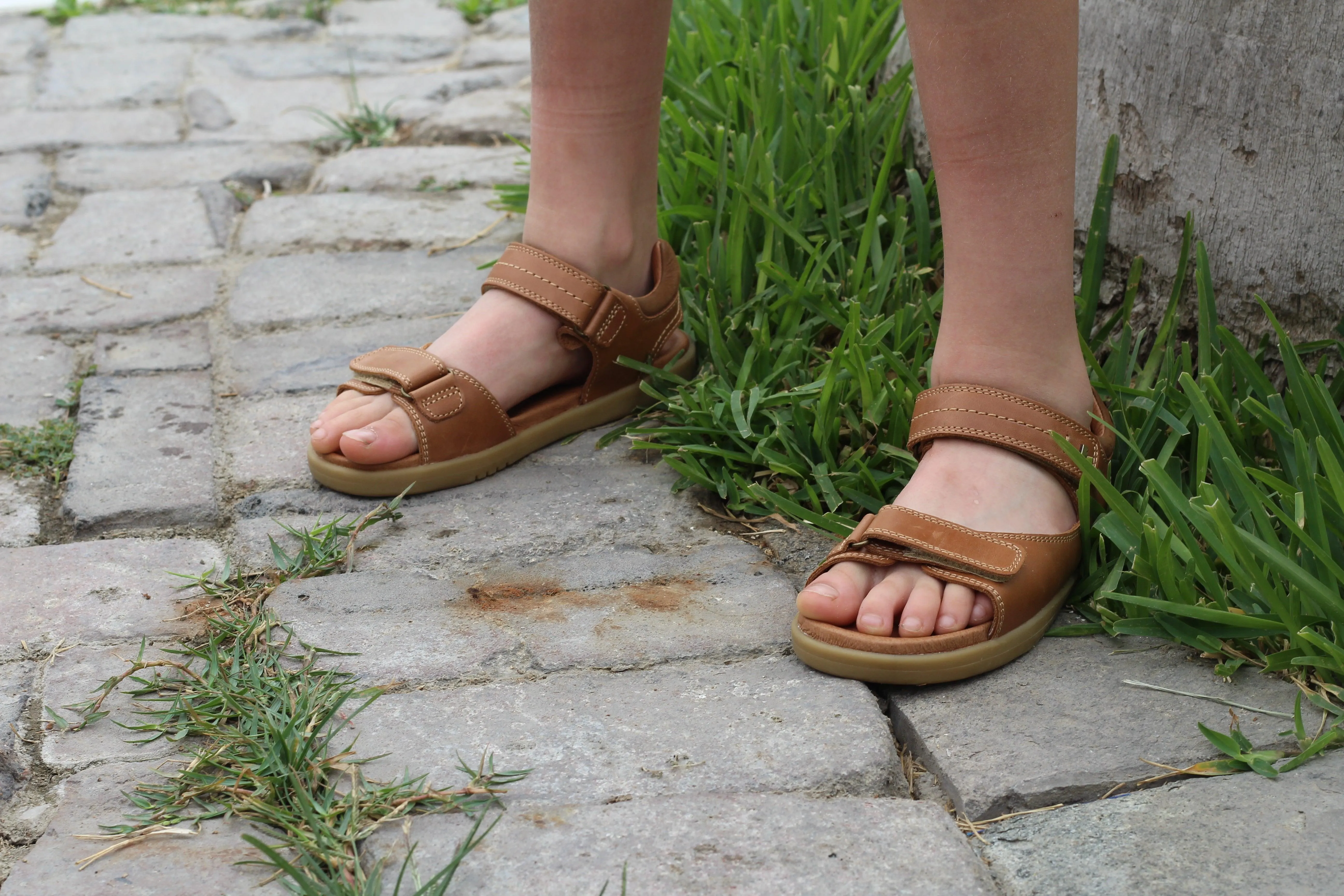 BOBUX DRIFTWOOD STEP UP IN CARAMEL