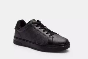 High Line Sneaker In Signature Canvas