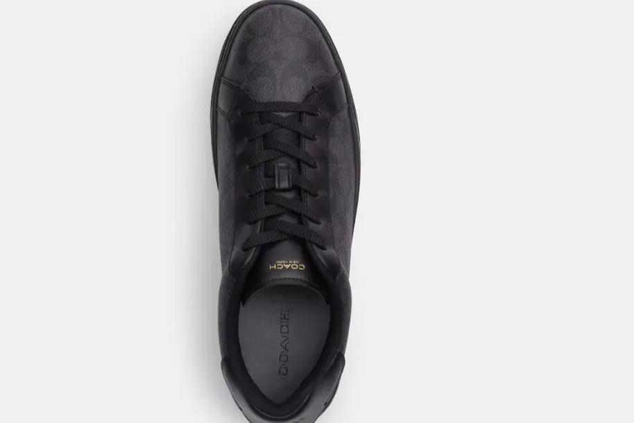 High Line Sneaker In Signature Canvas