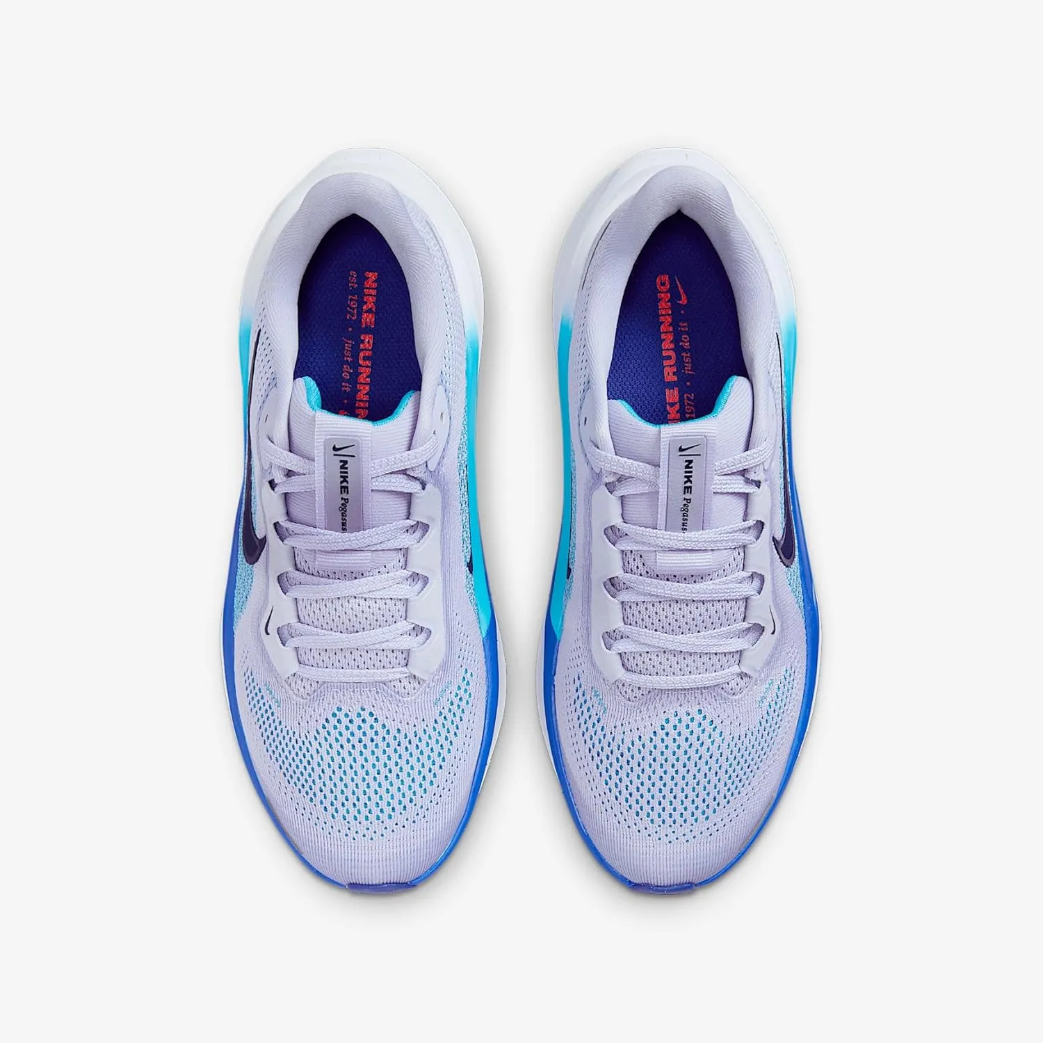 Nike Unisex-Child Pegasus 41 (Little Big Kid) Sneaker